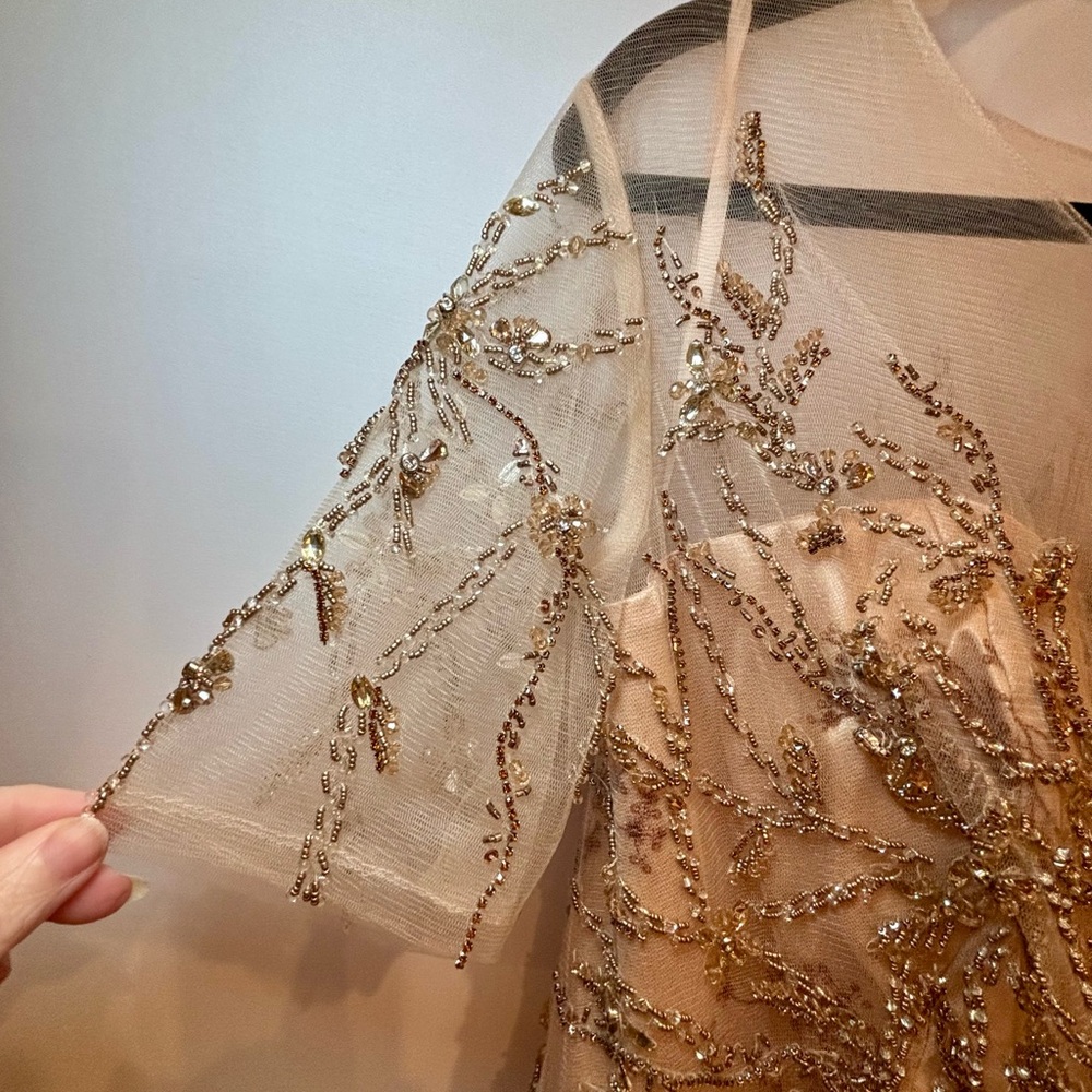 NWT MAC DUGGAL SZ 16 CHAMPAGNE/PINK Embellished Illusion Enchanting Gown #79317 - Picture 4 of 13
